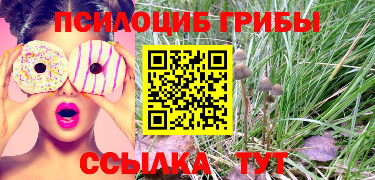 Донецк  где можно купить   Вход с VPN  Псилоцибиновые грибы Magic Shrooms 